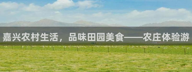 天富娱乐天辰娱乐