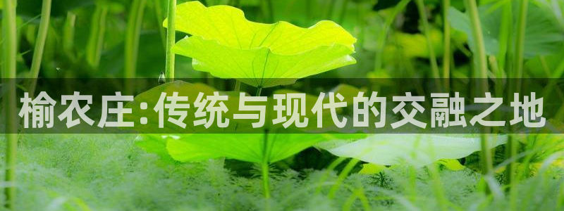 天辰娱乐下载地址