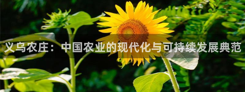 天辰娱乐平台登录账号