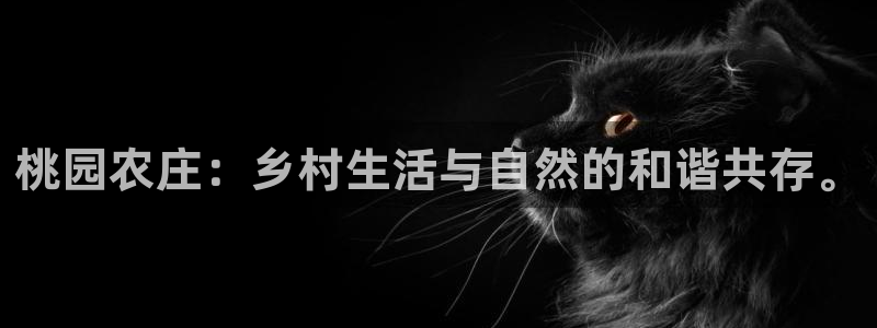 天辰娱乐网址娱乐游戏