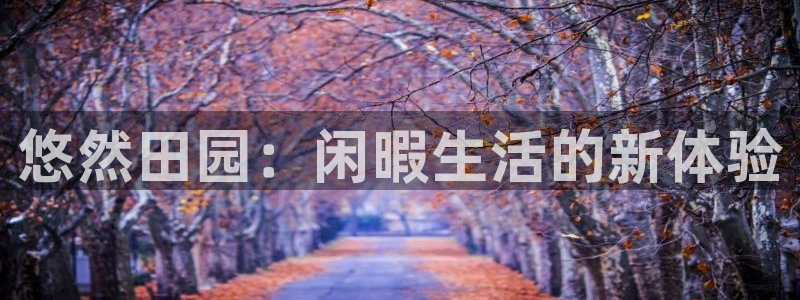 天辰团队贝高娱乐