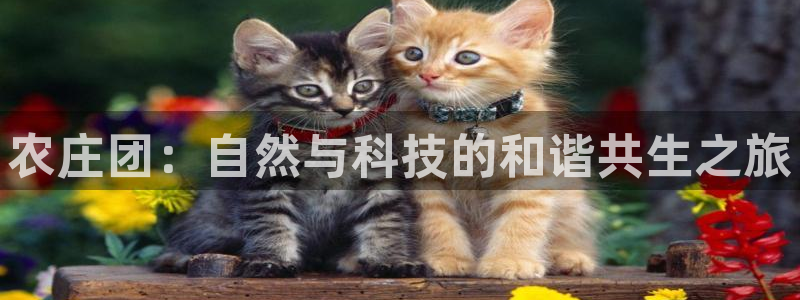 天辰娱乐7天22650