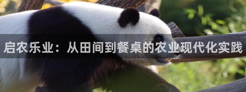 天辰娱乐平台安全吗