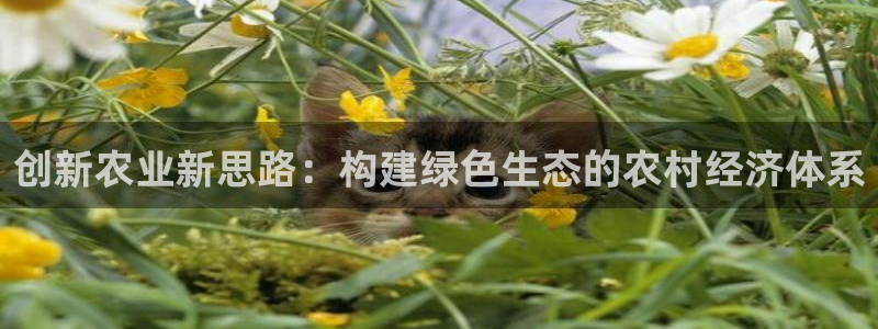 天辰娱乐平台app下载