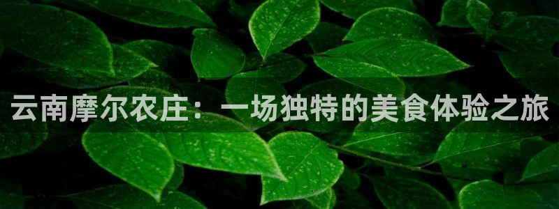 天辰 娱乐 注册