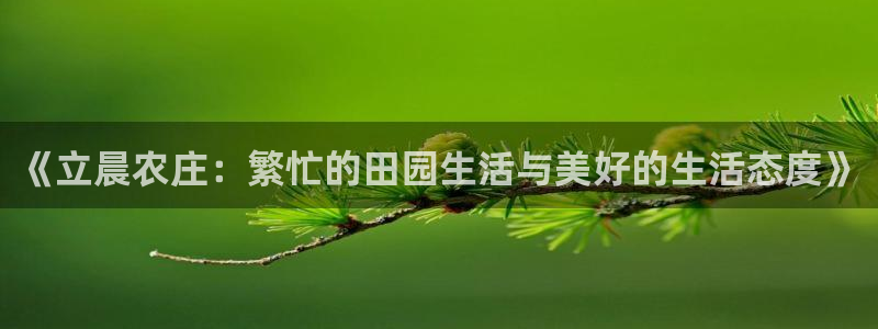 天辰辰娱乐代理