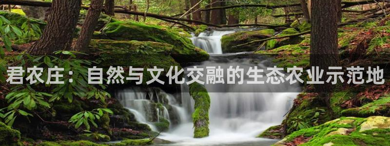 天辰娱乐官方网