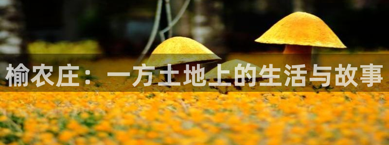 天辰娱乐平台靠谱么