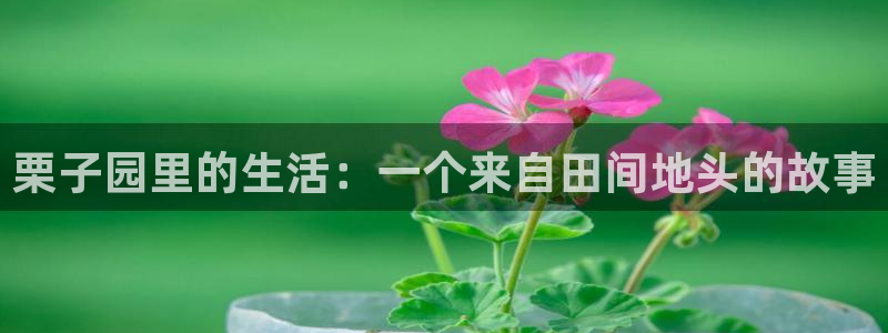 天辰娱乐 天辰平台