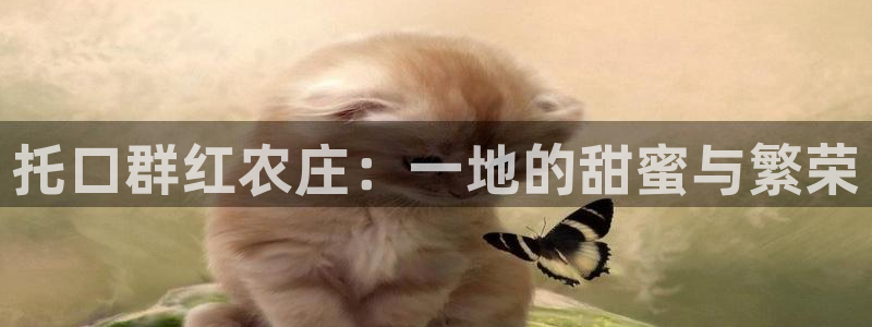 天辰娱乐游戏平台怎么样