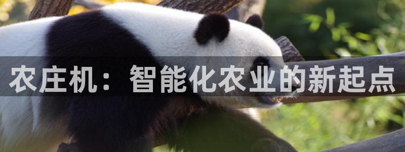 天辰辰娱乐代理