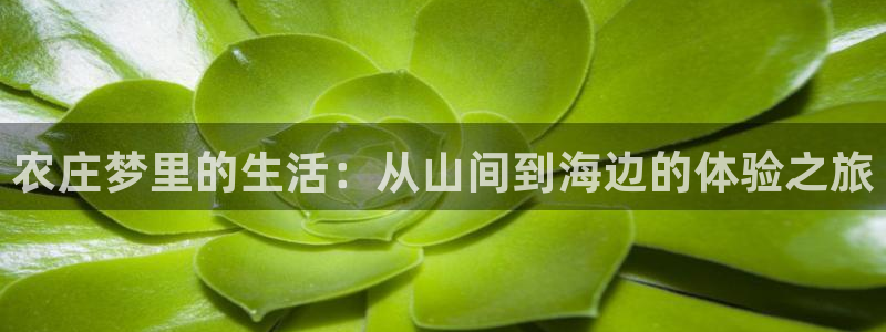 天辰娱乐电话