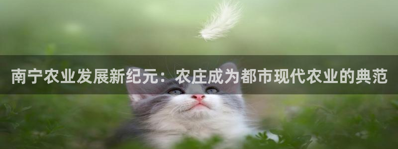 天辰娱乐网址娱乐游戏