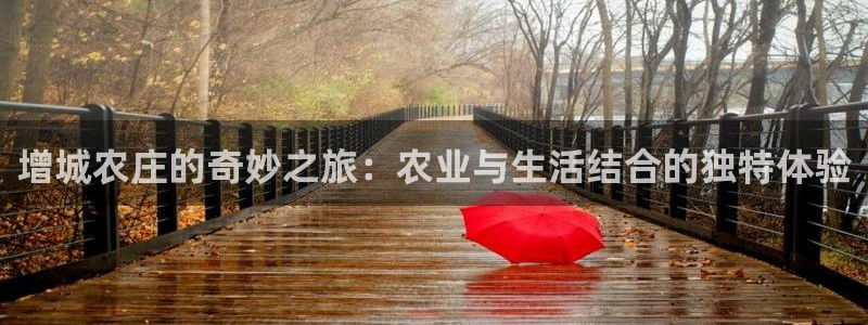 天辰娱乐说