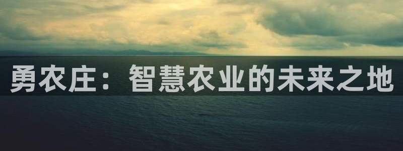 天辰娱乐游客