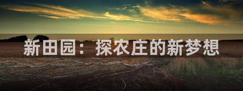 天辰娱乐平台app下载