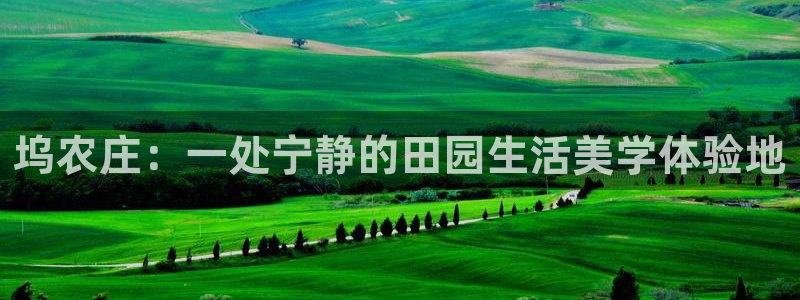 nba天辰娱乐
