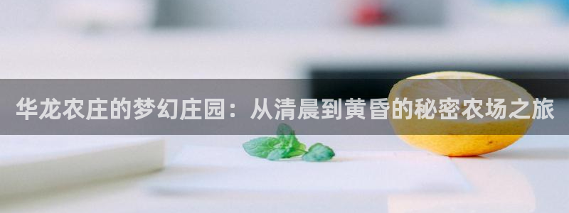 天辰娱乐登录