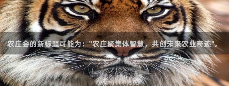 辰天娱乐