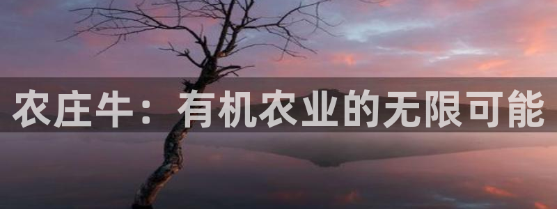 天辰娱乐酒店
